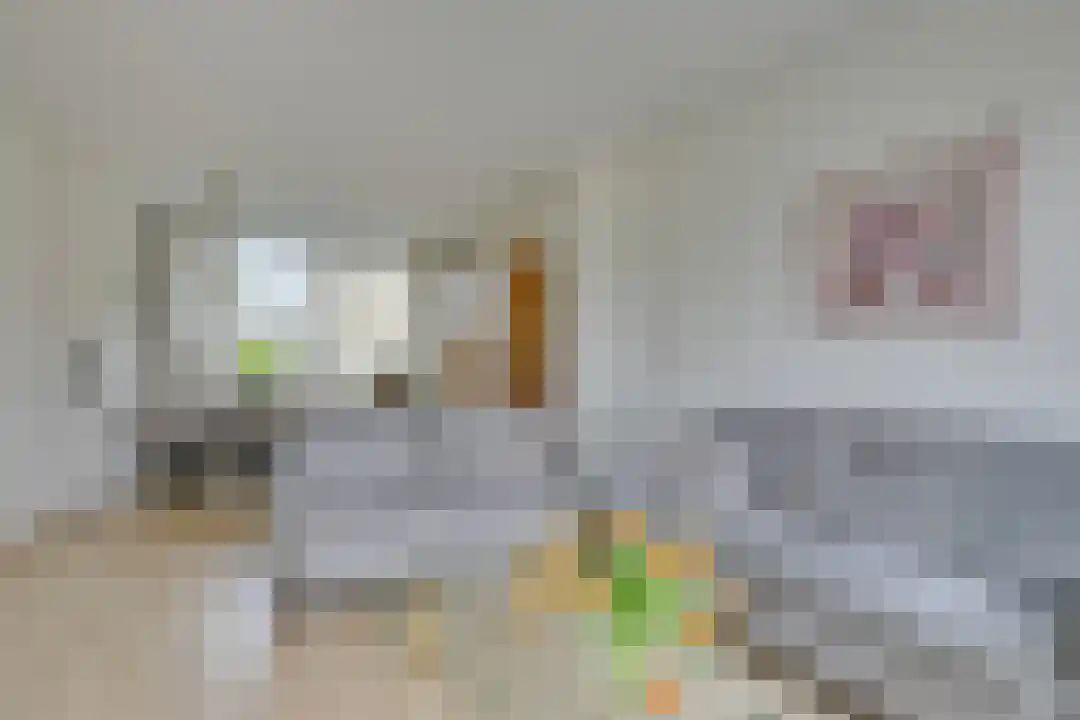 Esdoornplantsoen 73 Schoorl thumbnail 9