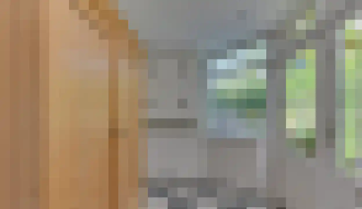 Esdoornplantsoen 83 Schoorl thumbnail 16