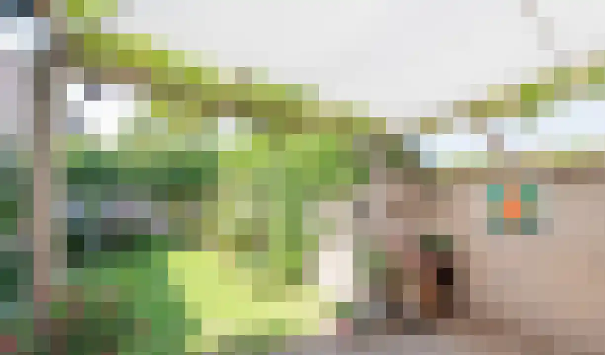 Esdoornplantsoen 83 Schoorl thumbnail 18