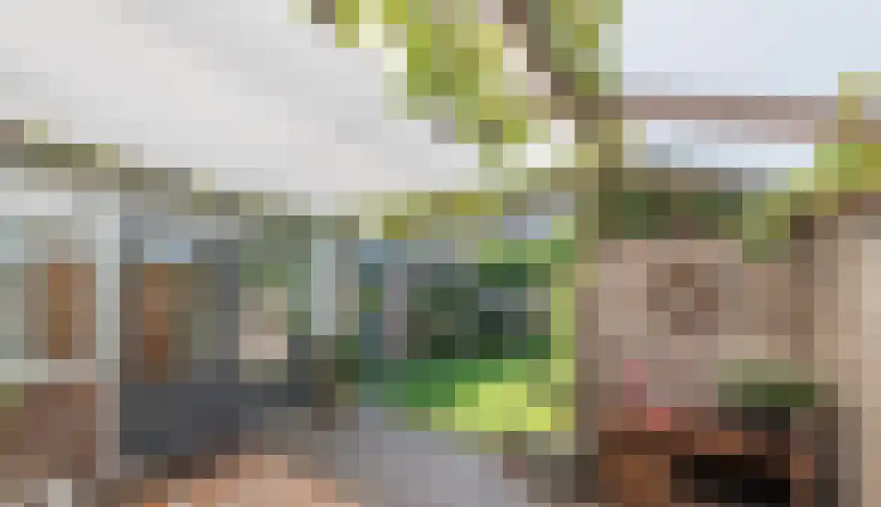 Esdoornplantsoen 83 Schoorl thumbnail 19