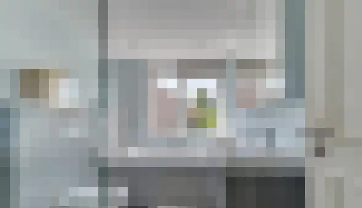 Esdoornplantsoen 83 Schoorl thumbnail 29