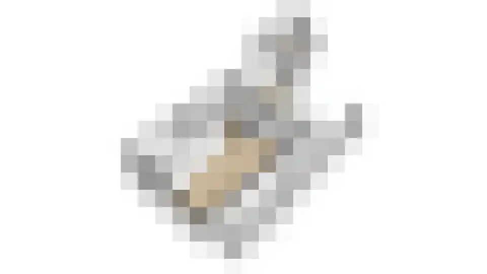 Esdoornplantsoen 83 Schoorl thumbnail 49