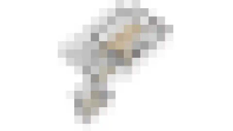 Esdoornplantsoen 83 Schoorl thumbnail 50