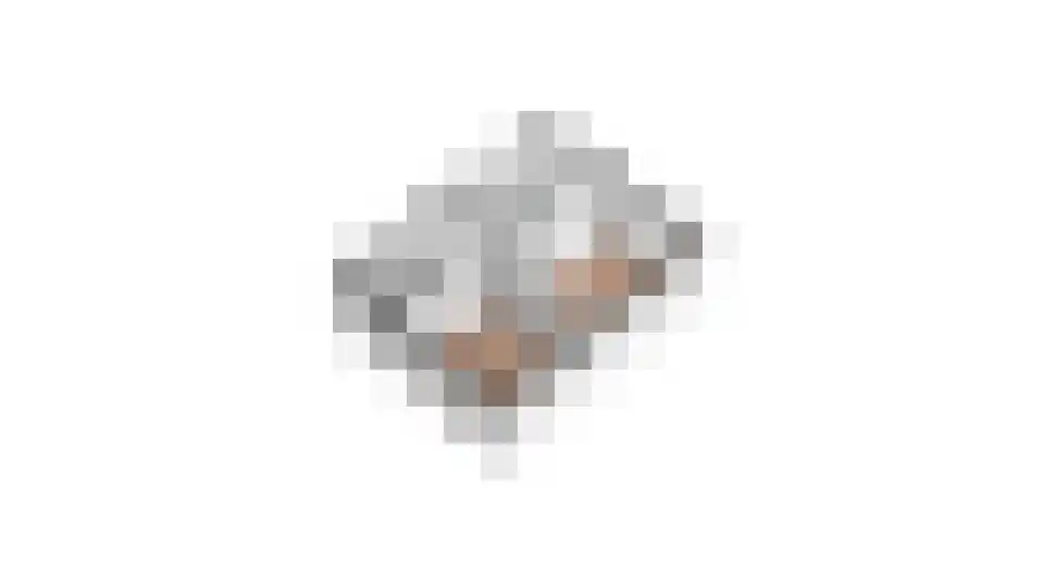 Esdoornplantsoen 83 Schoorl thumbnail 52