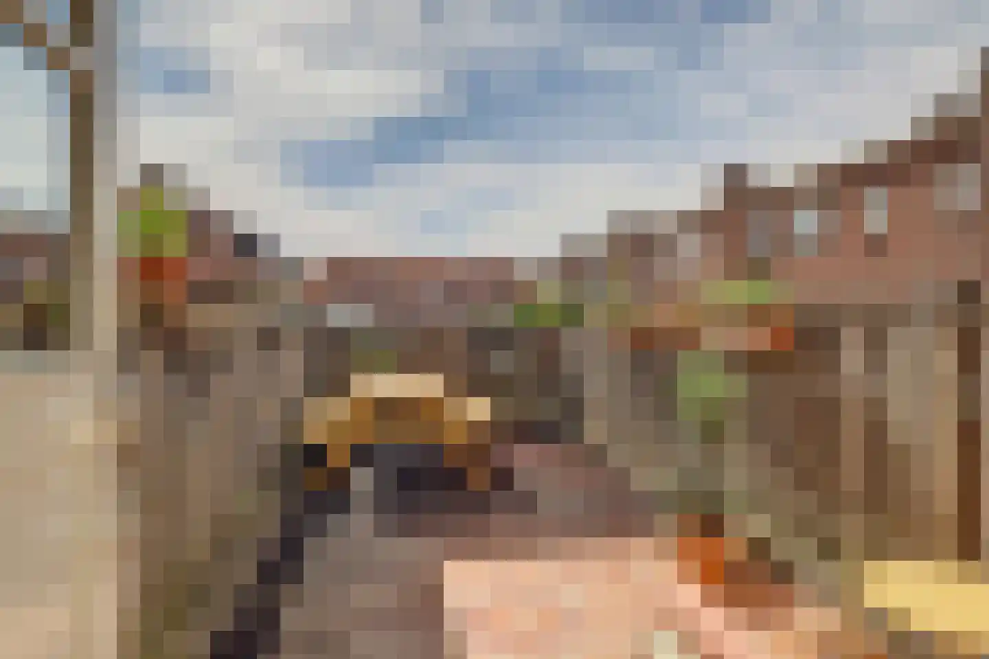 Esdoornstraat 11 's-Hertogenbosch thumbnail 28