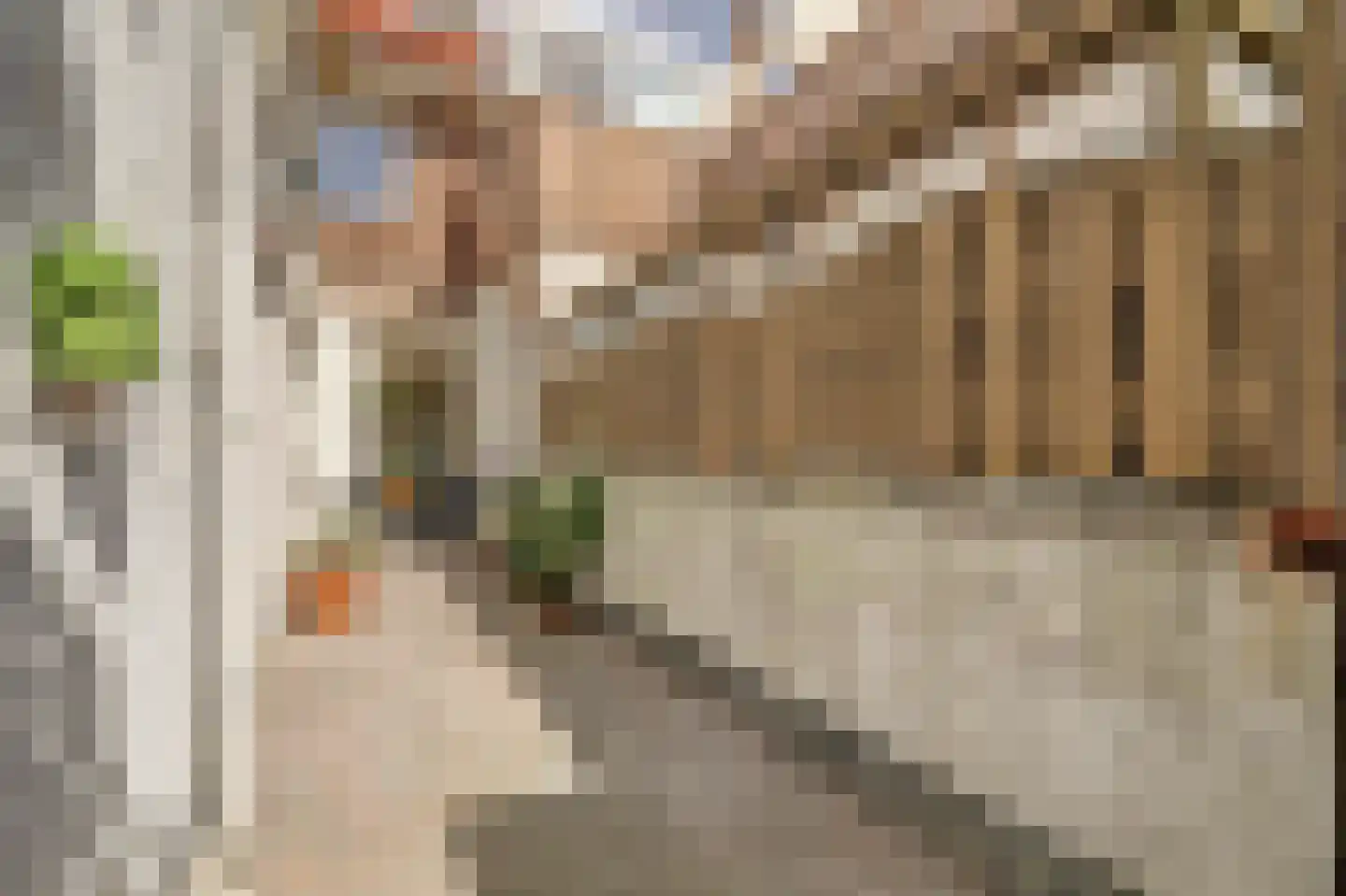 Esdoornstraat 11 's-Hertogenbosch thumbnail 31