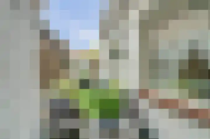 Esdoornstraat 11 's-Hertogenbosch thumbnail 30