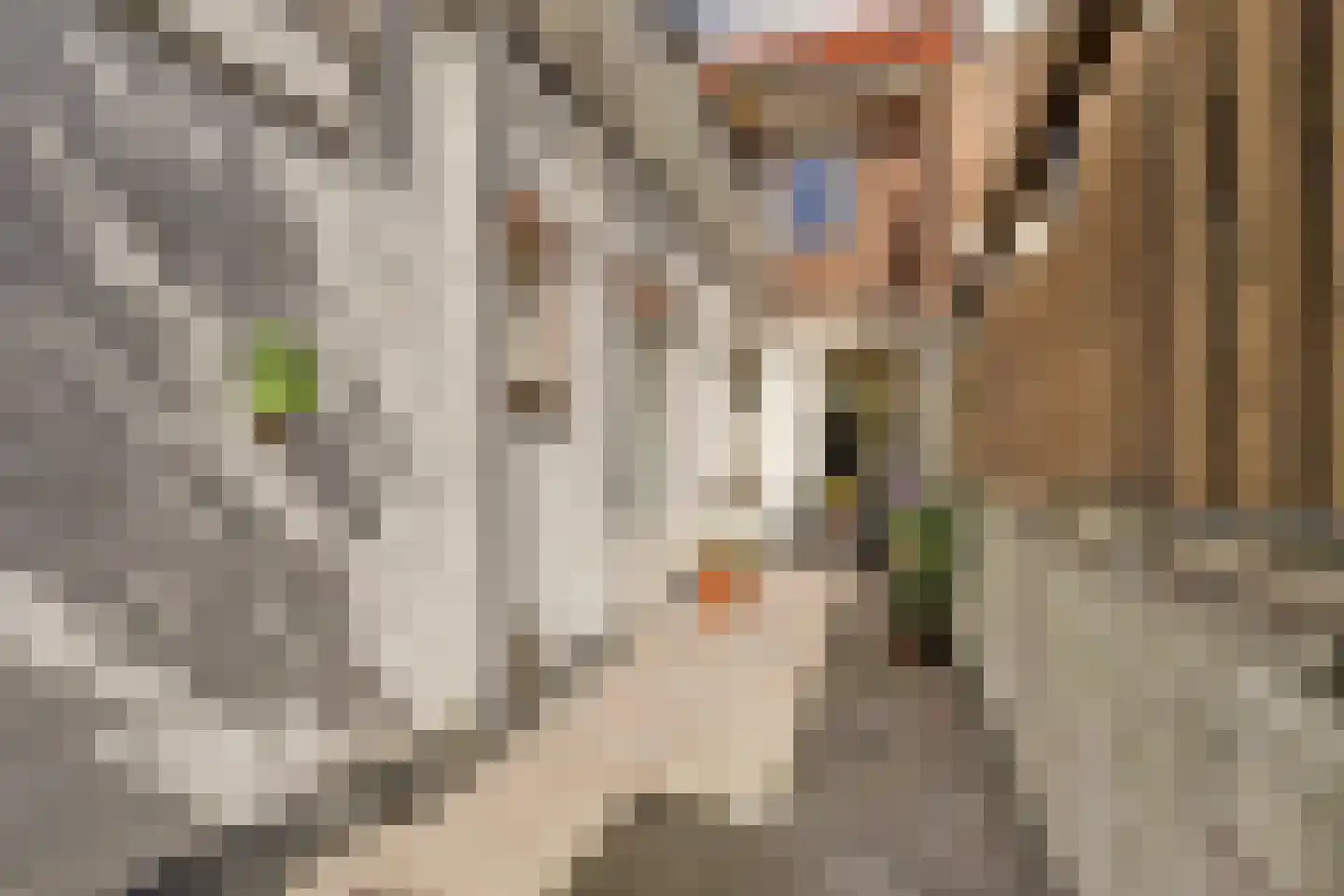 Esdoornstraat 11 's-Hertogenbosch thumbnail 32