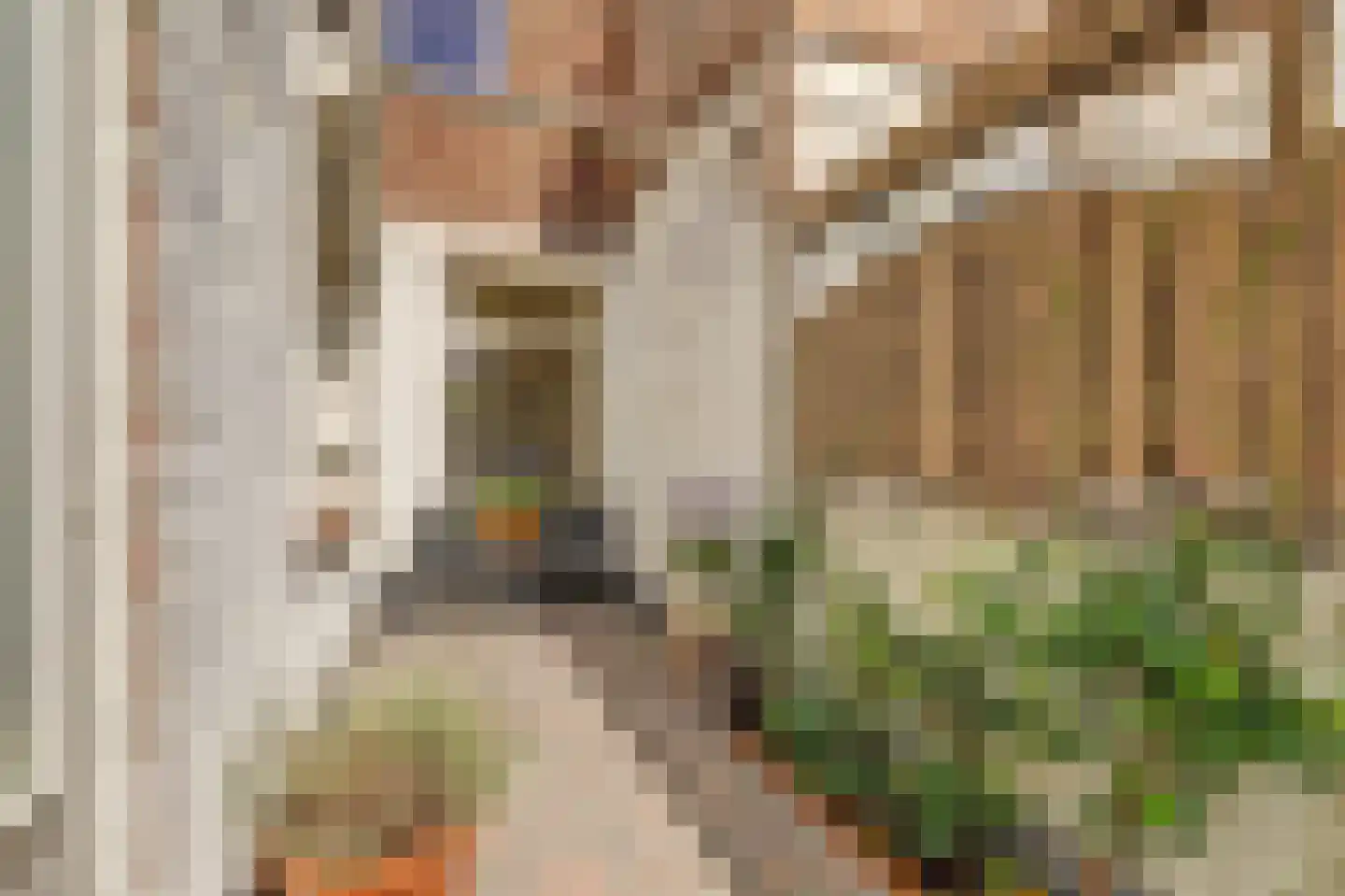 Esdoornstraat 11 's-Hertogenbosch thumbnail 33