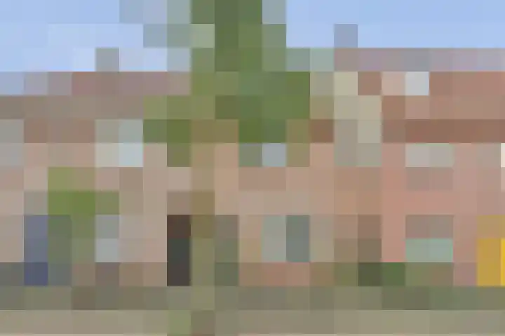 Esdoornstraat 11 's-Hertogenbosch thumbnail 33