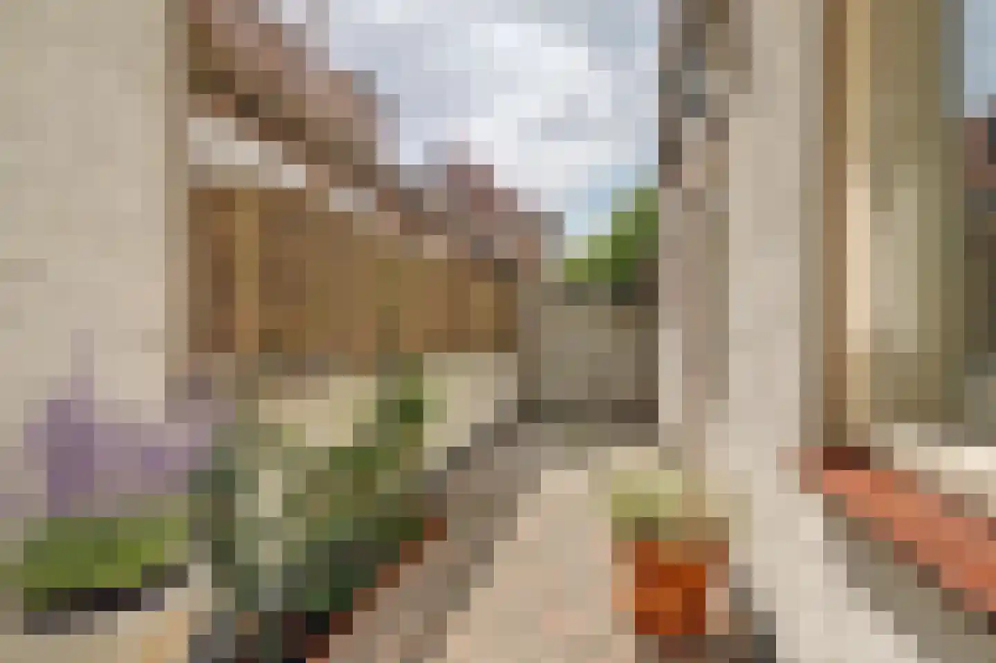 Esdoornstraat 11 's-Hertogenbosch thumbnail 35