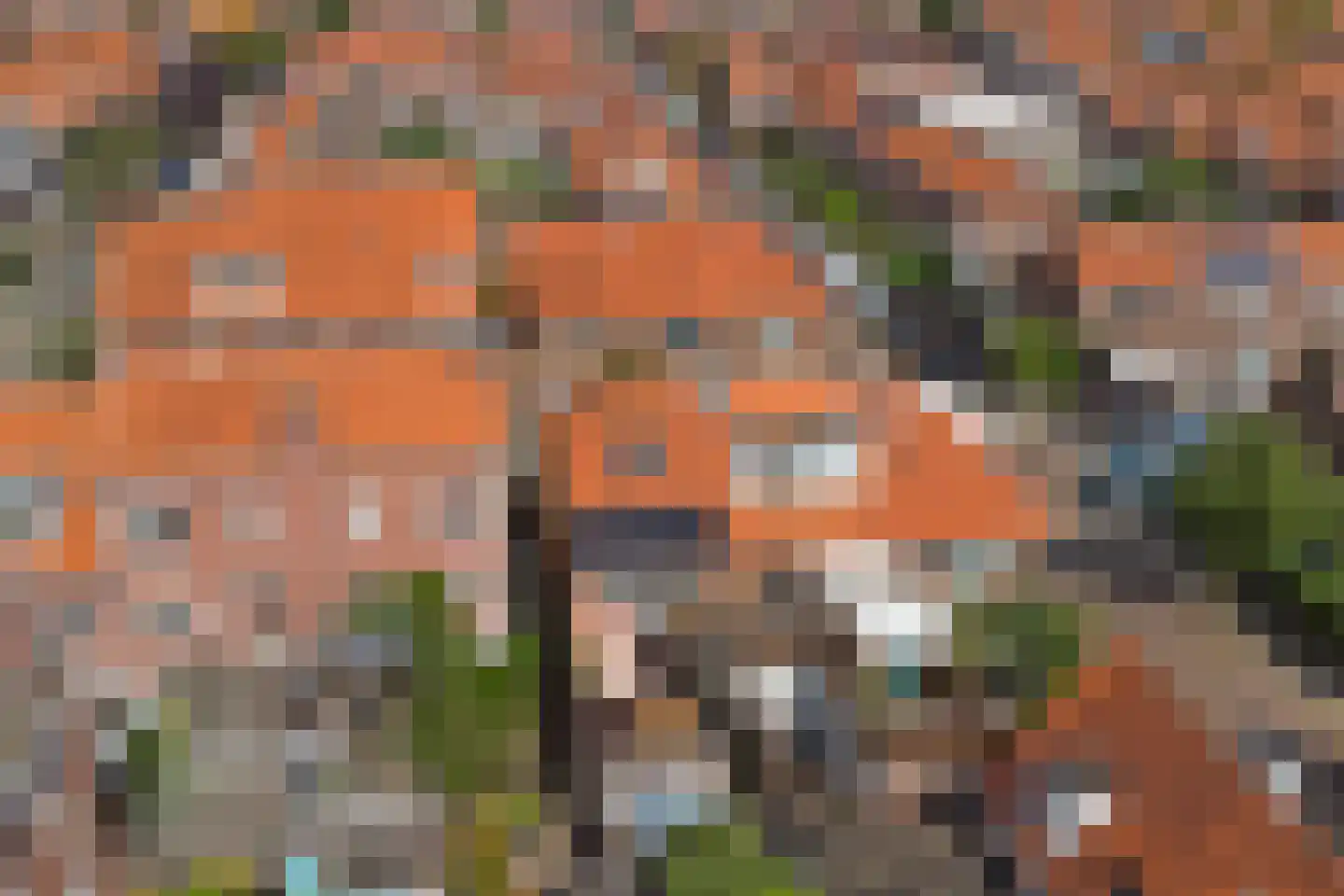 Esdoornstraat 11 's-Hertogenbosch thumbnail 43