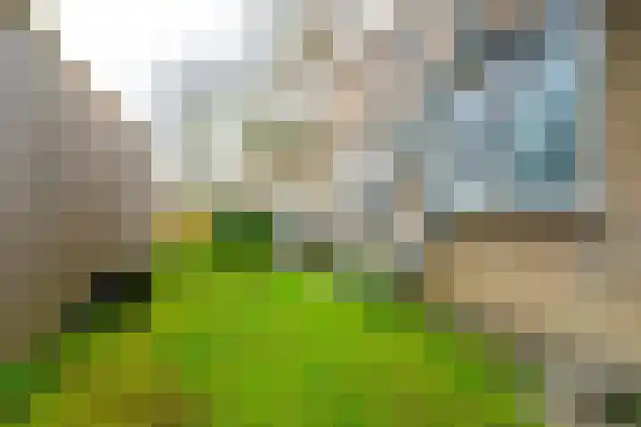 Esdoornstraat 11 Schagen thumbnail 15