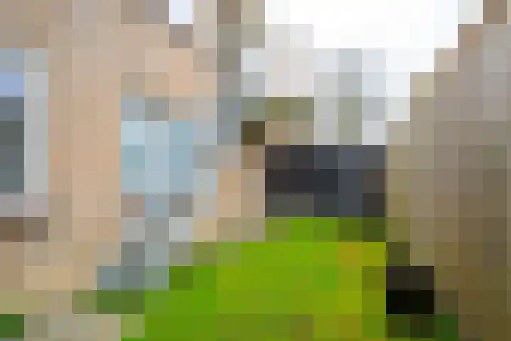 Esdoornstraat 11 Schagen thumbnail 16