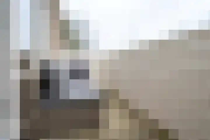 Esdoornstraat 11 Schagen thumbnail 17