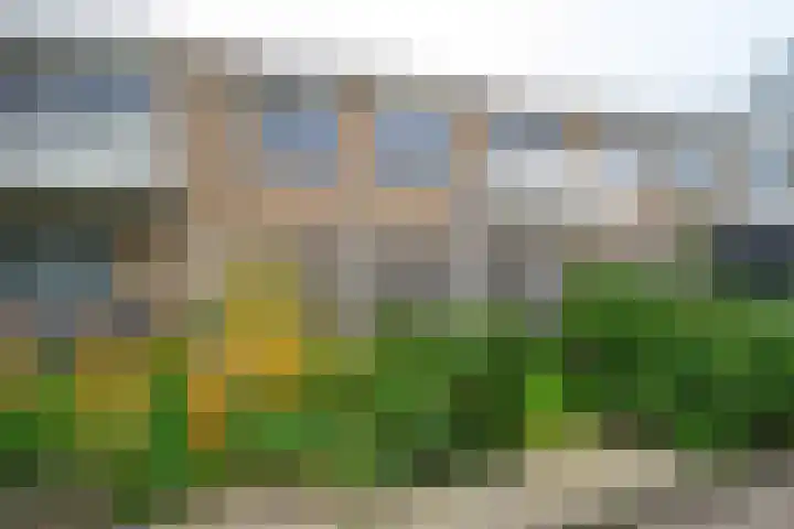 Esdoornstraat 11 Schagen thumbnail 31