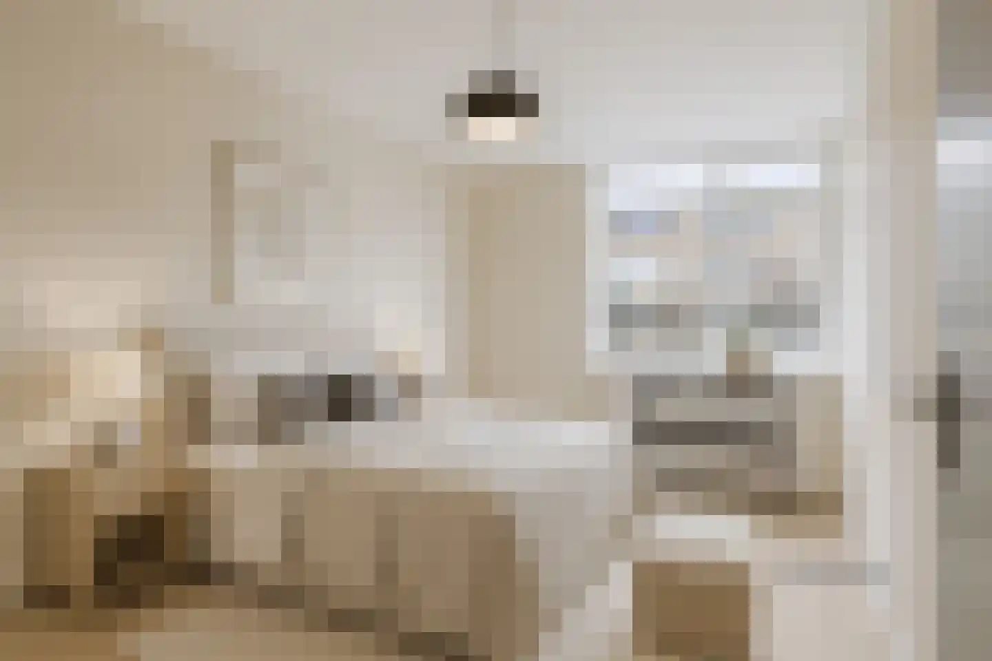 Esdoornstraat 119 's-Hertogenbosch thumbnail 22