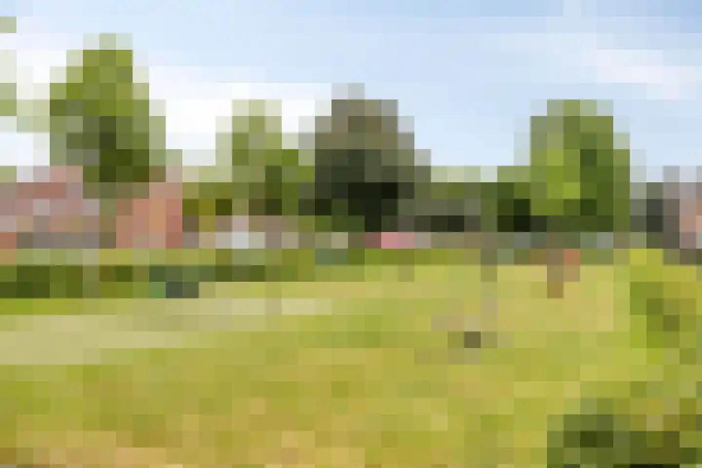 Esdoornstraat 119 's-Hertogenbosch thumbnail 31
