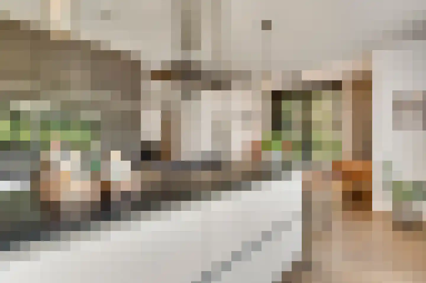 Esdoornstraat 13 Sterksel thumbnail 13