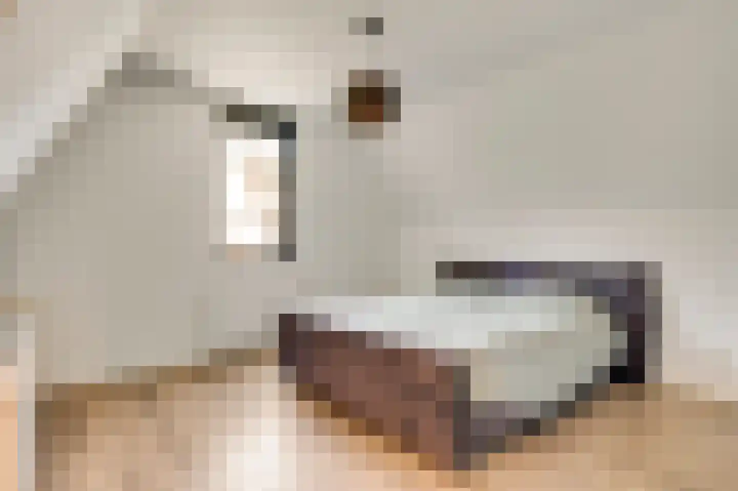 Esdoornstraat 13 Sterksel thumbnail 17