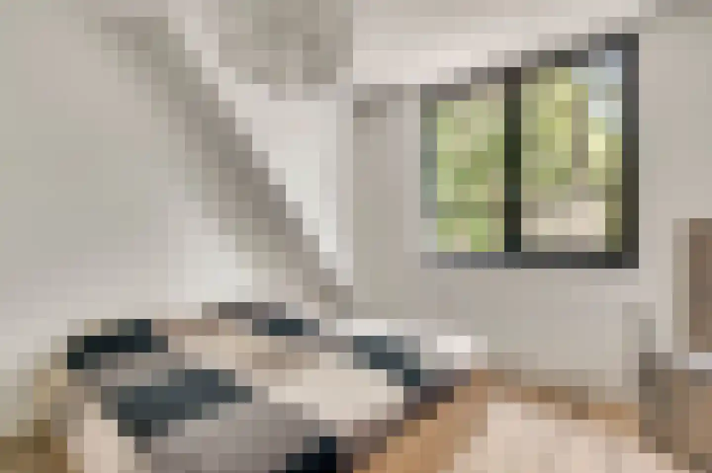 Esdoornstraat 13 Sterksel thumbnail 20