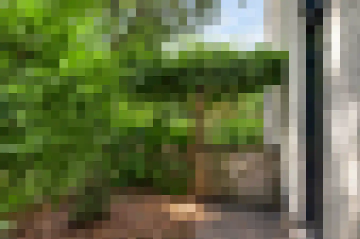 Esdoornstraat 13 Sterksel thumbnail 31