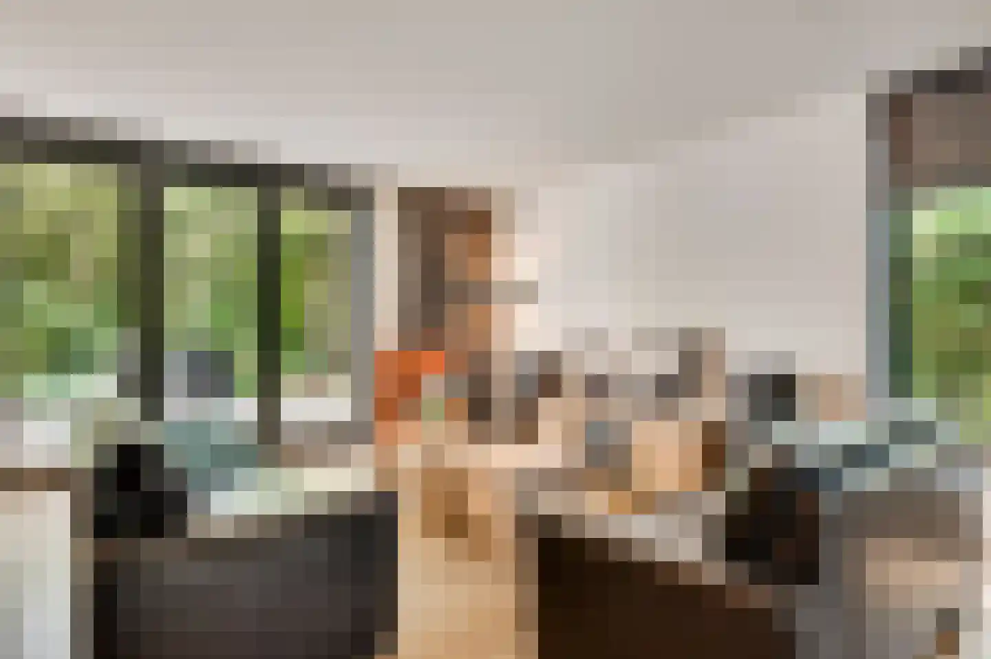 Esdoornstraat 13 Sterksel thumbnail 8