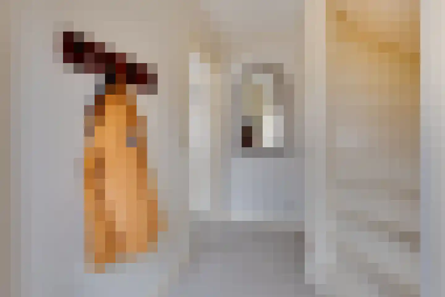 Esdoornstraat 13 Winterswijk thumbnail 21