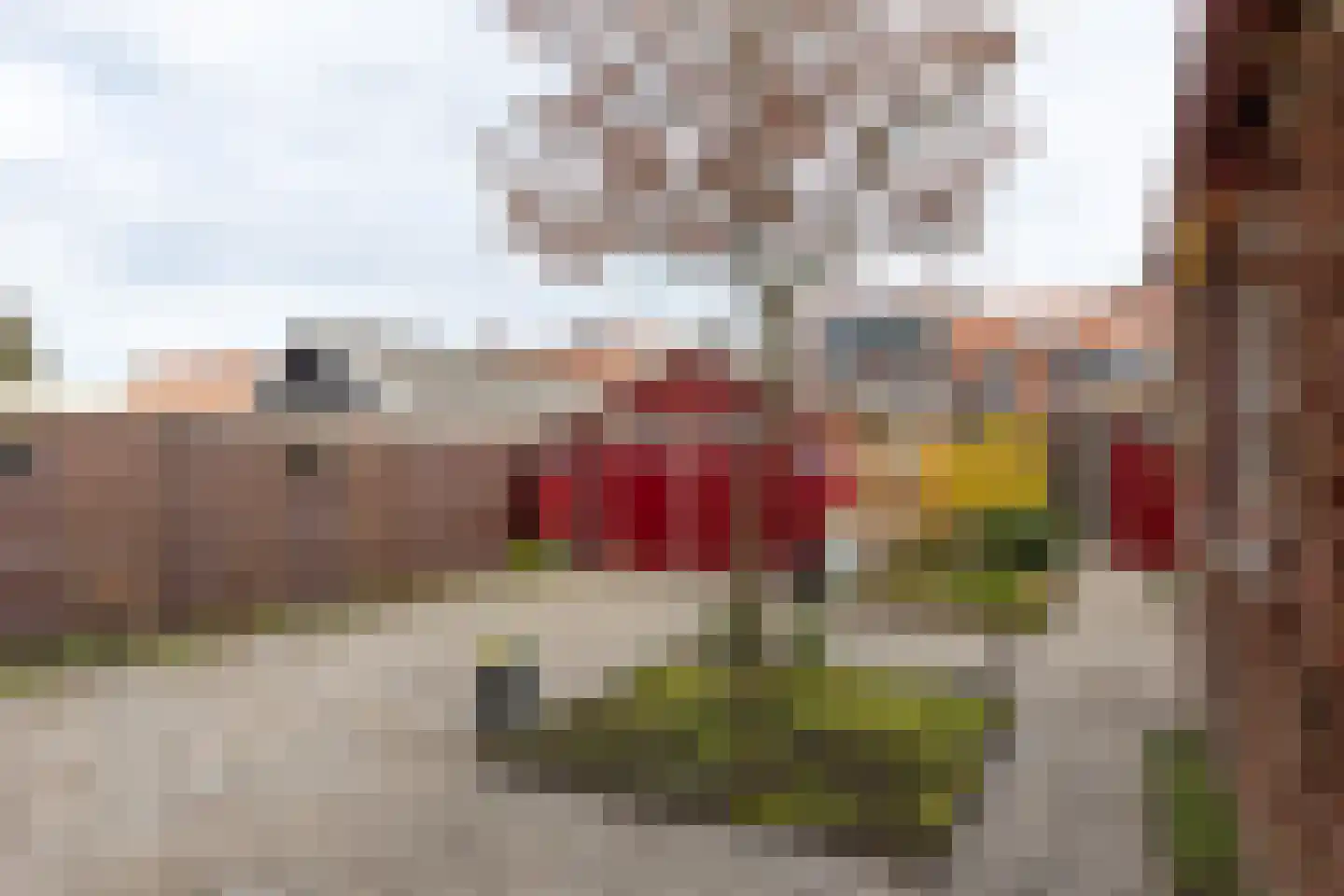 Esdoornstraat 13 Winterswijk thumbnail 40