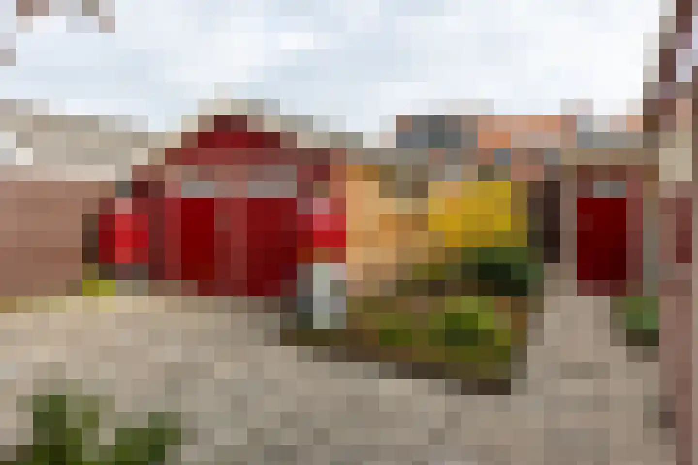 Esdoornstraat 13 Winterswijk thumbnail 43