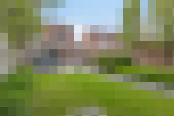 Esdoornstraat 13 Zundert thumbnail 27