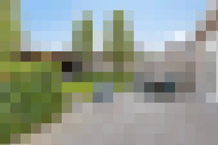 Esdoornstraat 13 Zundert thumbnail 6