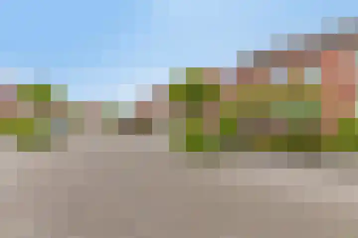 Esdoornstraat 13 Zundert thumbnail 8