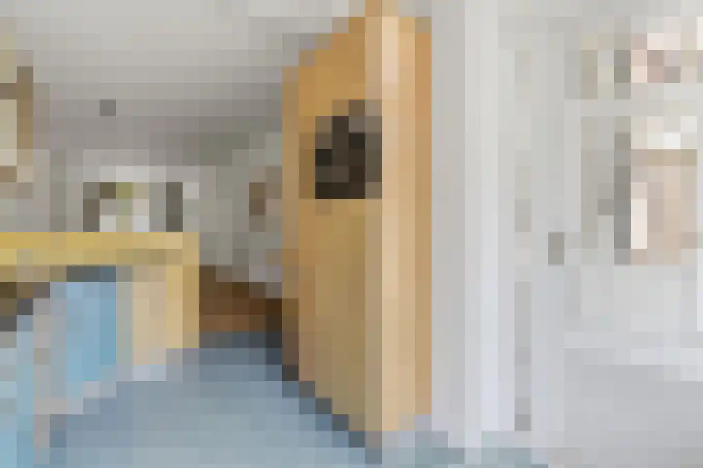 Esdoornstraat 14 Rijswijk thumbnail 10