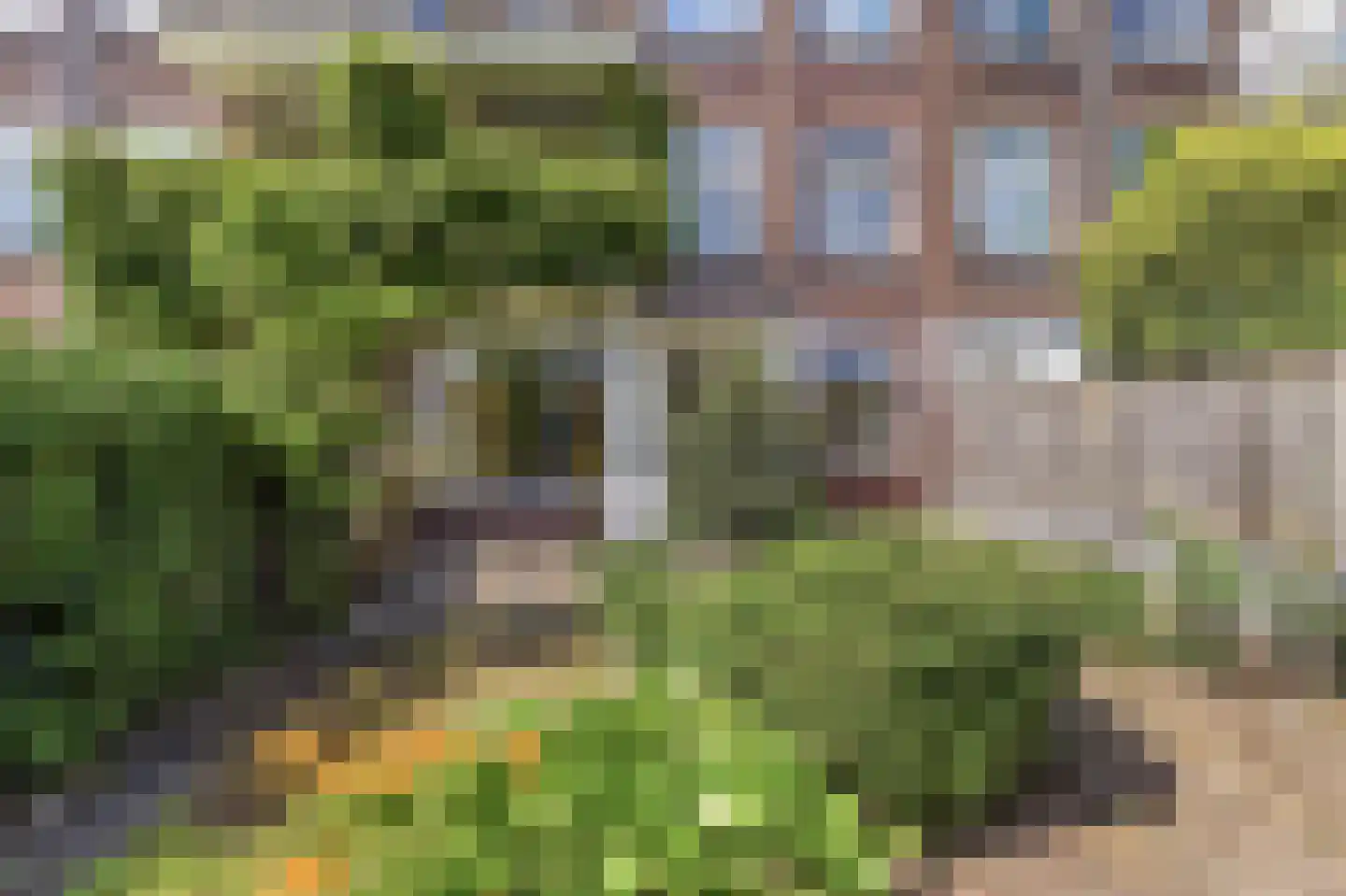 Esdoornstraat 14 Rijswijk thumbnail 15