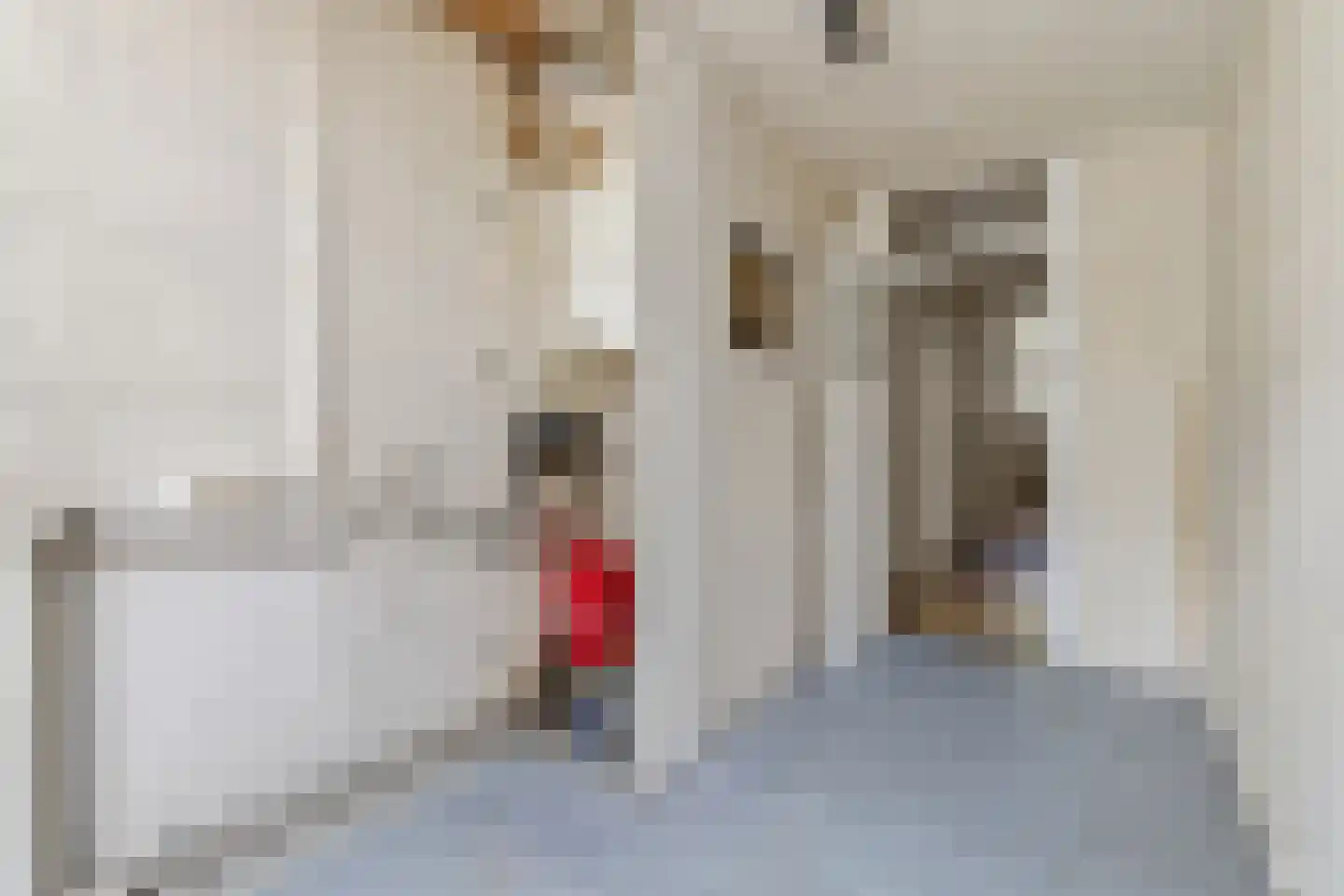 Esdoornstraat 14 Rijswijk thumbnail 18