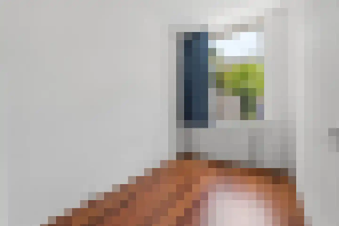 Esdoornstraat 14 Rijswijk thumbnail 23