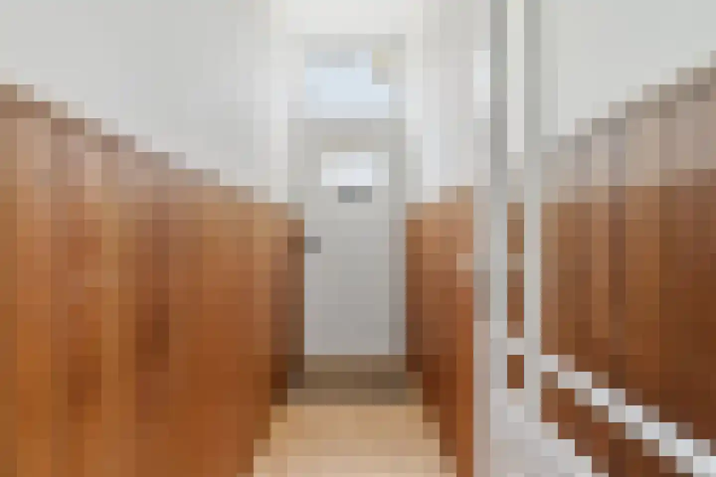 Esdoornstraat 14 Rijswijk thumbnail 32