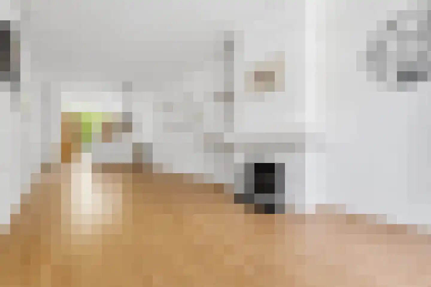 Esdoornstraat 14 Rijswijk thumbnail 7