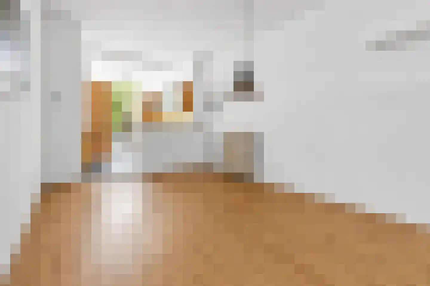 Esdoornstraat 14 Rijswijk thumbnail 8