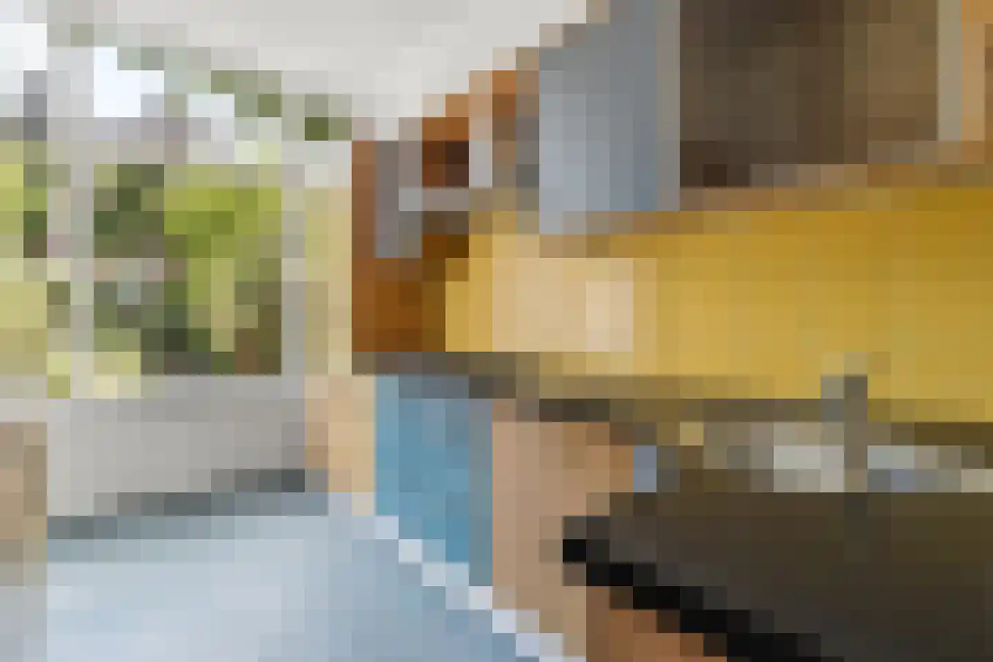 Esdoornstraat 14 Rijswijk thumbnail 9