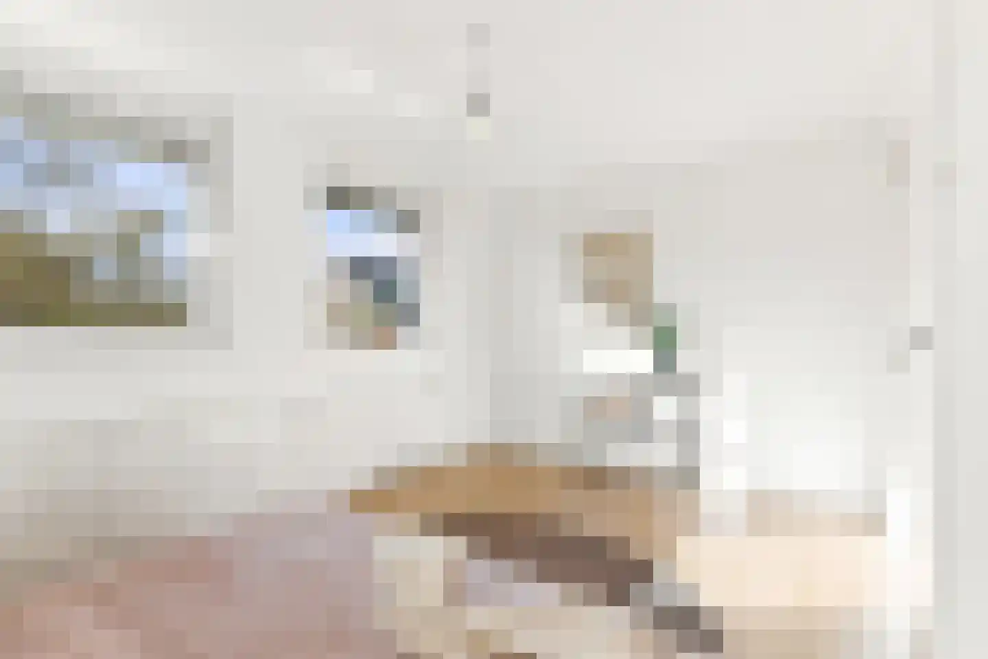 Esdoornstraat 15 Driebruggen thumbnail 26