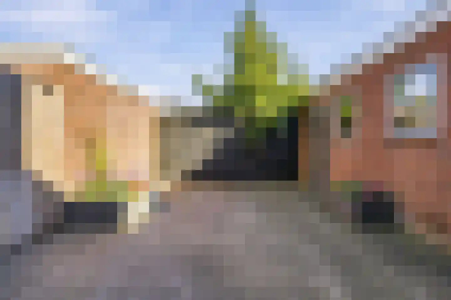 Esdoornstraat 15 Driebruggen thumbnail 32
