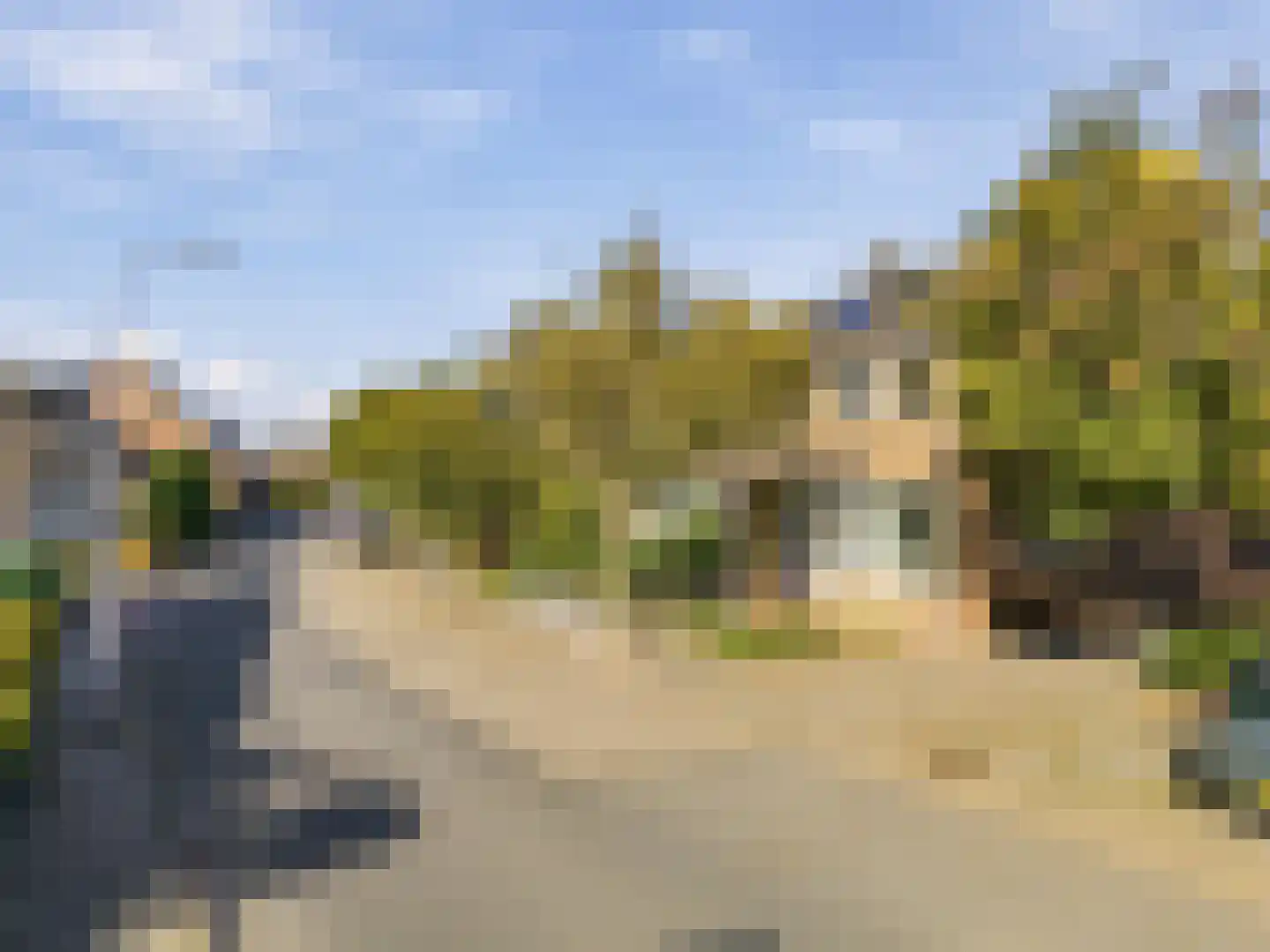 Esdoornstraat 15 Driebruggen thumbnail 39