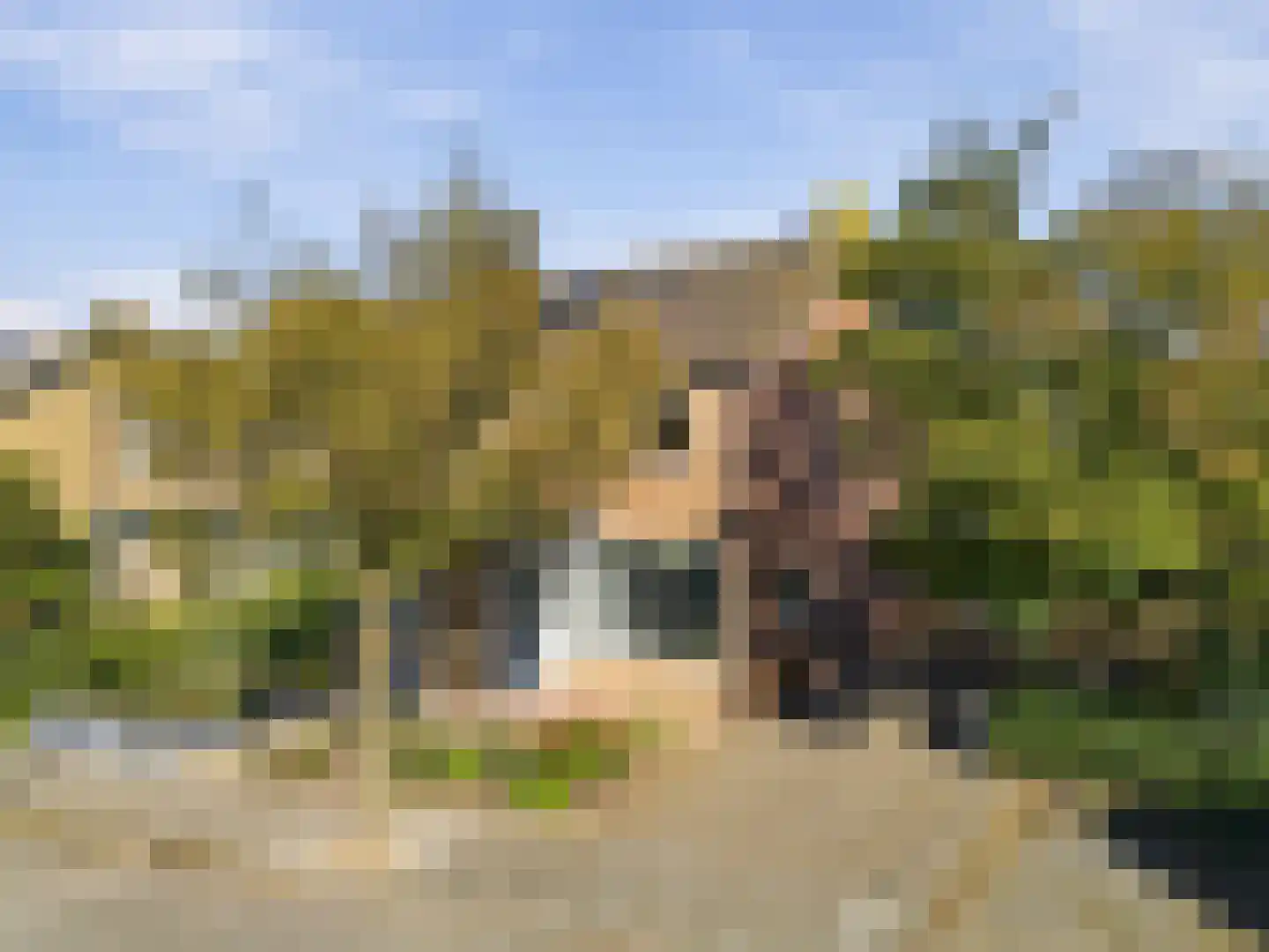Esdoornstraat 15 Driebruggen thumbnail 43
