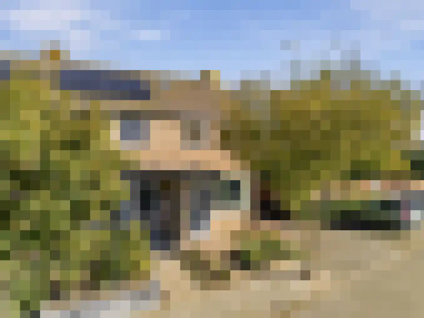Esdoornstraat 15 Driebruggen thumbnail 44
