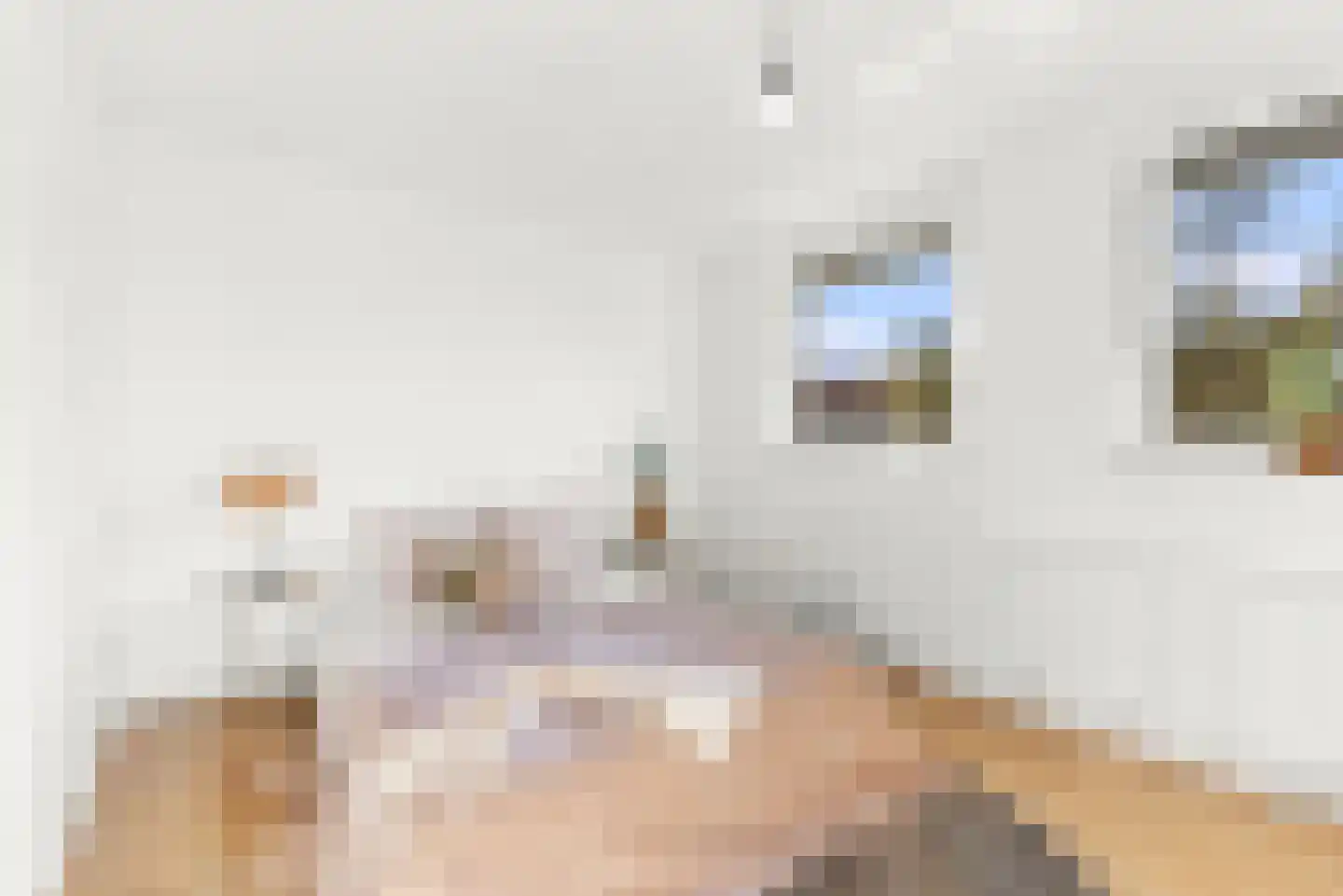 Esdoornstraat 15 Driebruggen thumbnail 7