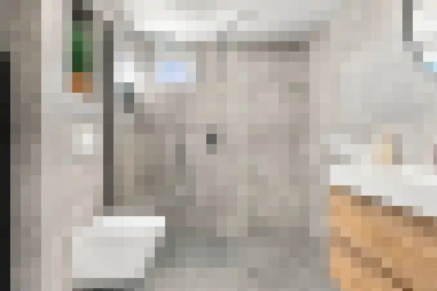 Esdoornstraat 15 Driebruggen thumbnail 8