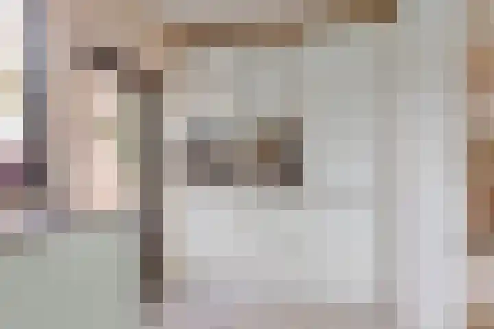 Esdoornstraat 15 's-Hertogenbosch thumbnail 10