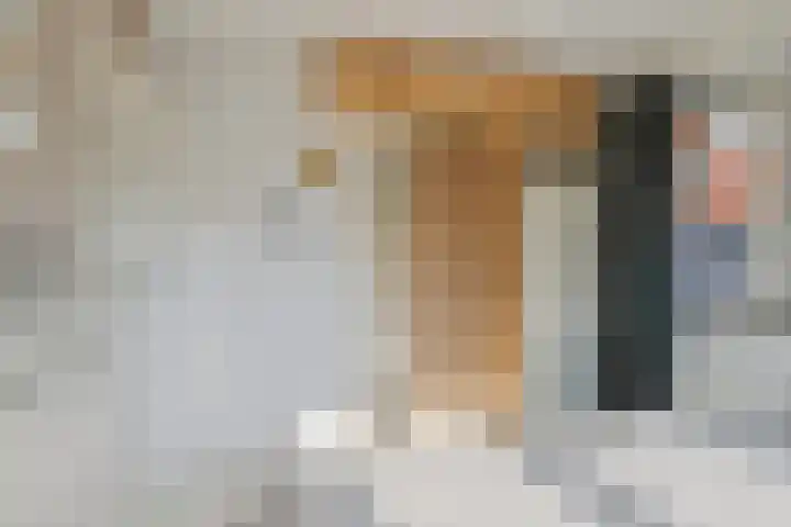Esdoornstraat 15 's-Hertogenbosch thumbnail 15